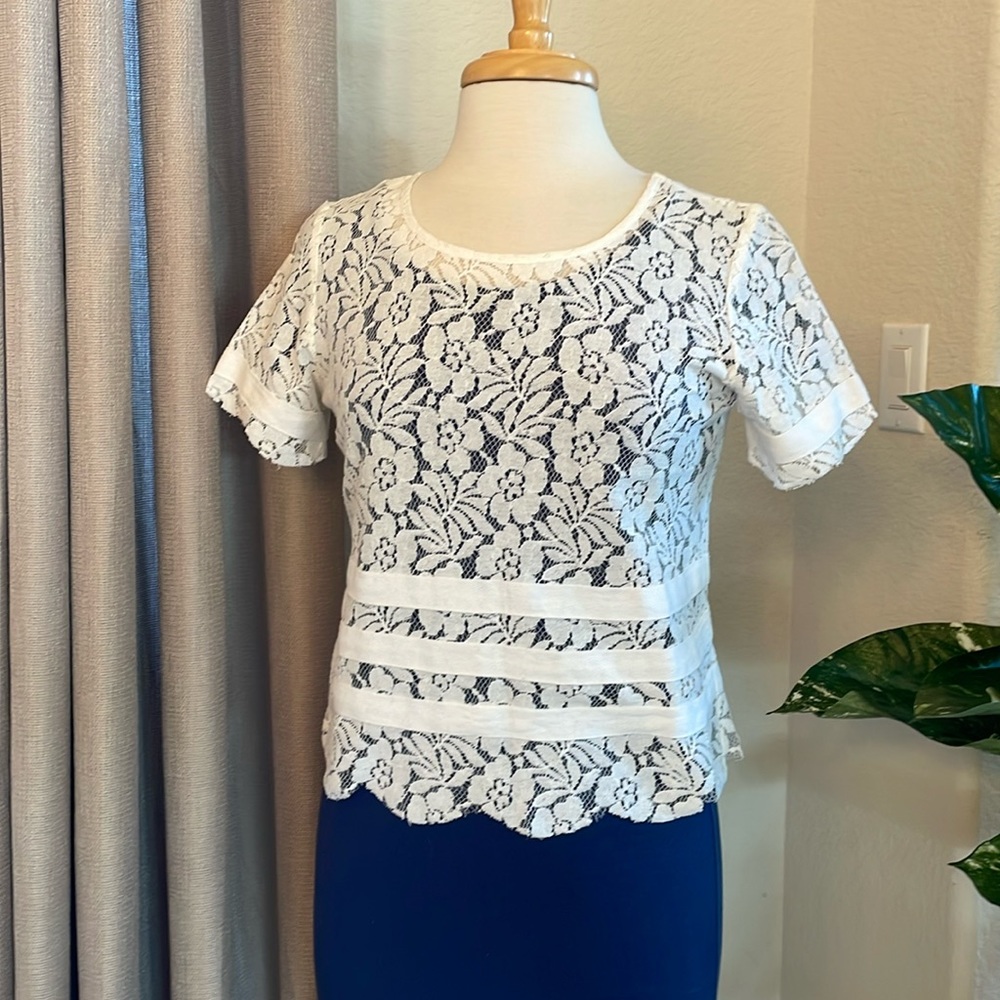 BCBG short sleeved lace blouse